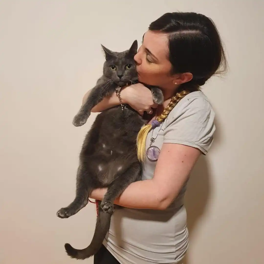 Foto del servicio de 'Catsitting'