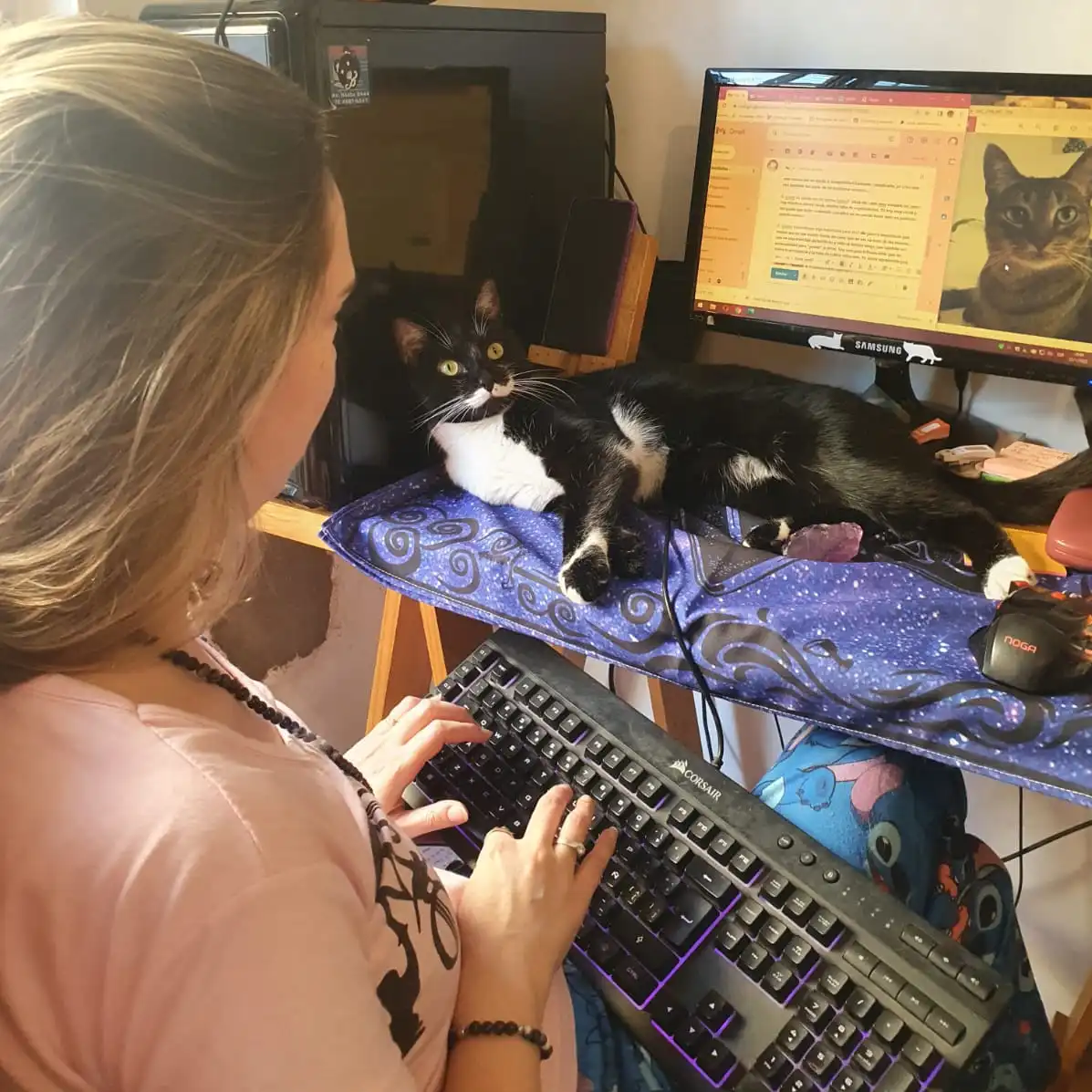 Foto del servicio de 'Comunicación animal'