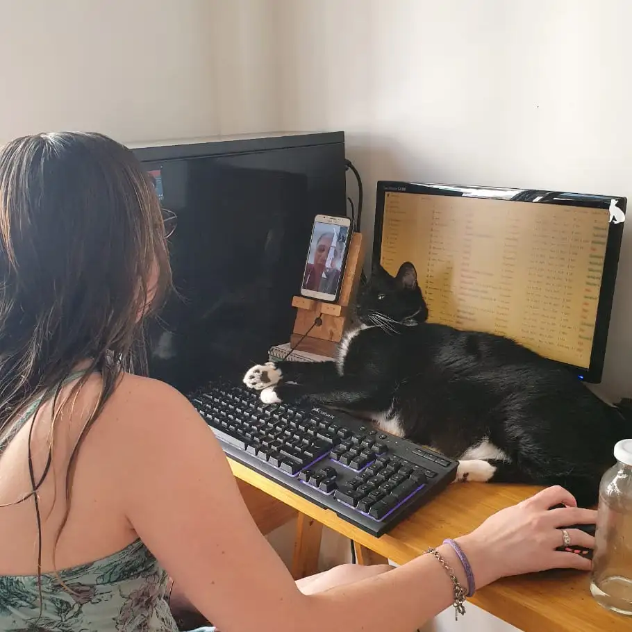 Foto del servicio de 'Terapia floral (animales)'